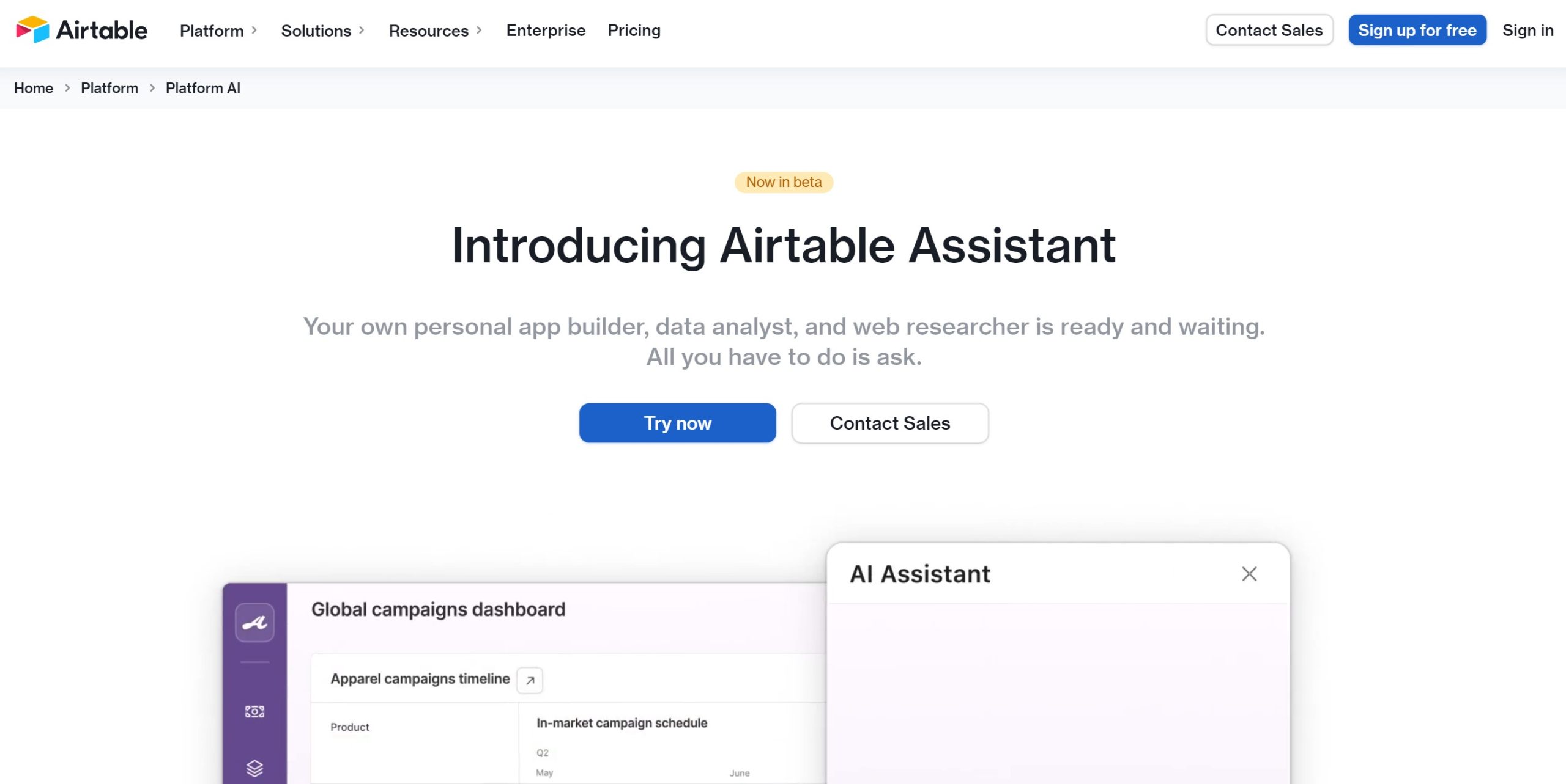 Airtable Assistant